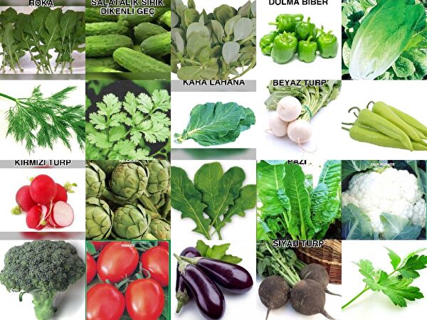 Karahasanoğlu Tarım Tohum