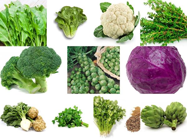 Karahasanoğlu Tarım Tohum