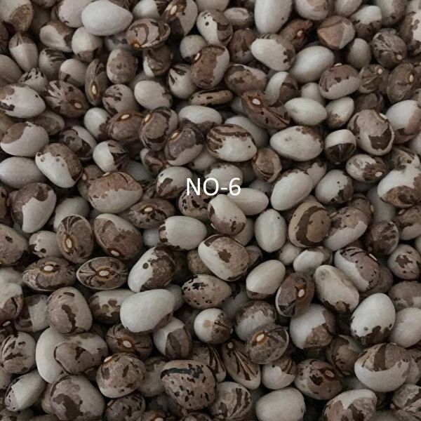 Karahasanoğlu Tarım Tohum