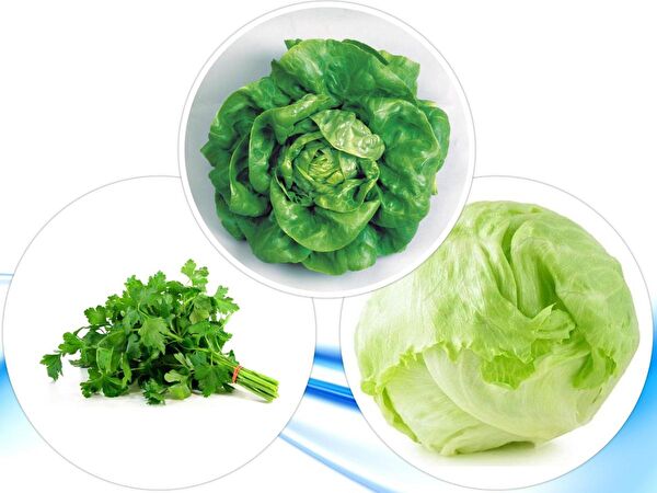 Karahasanoğlu Tarım Tohum