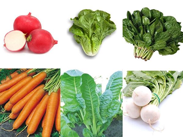 Karahasanoğlu Tarım Tohum