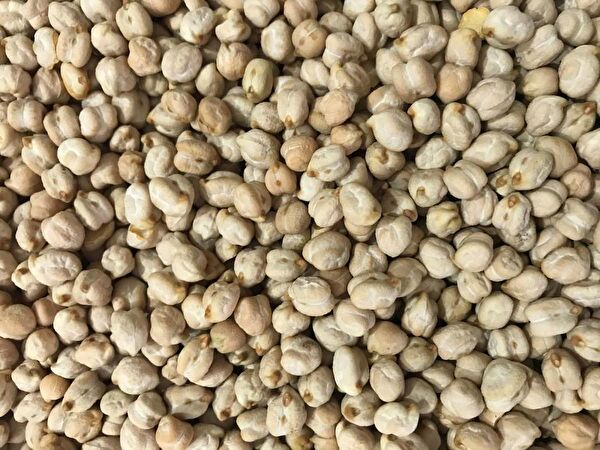 Karahasanoğlu Tarım Tohum