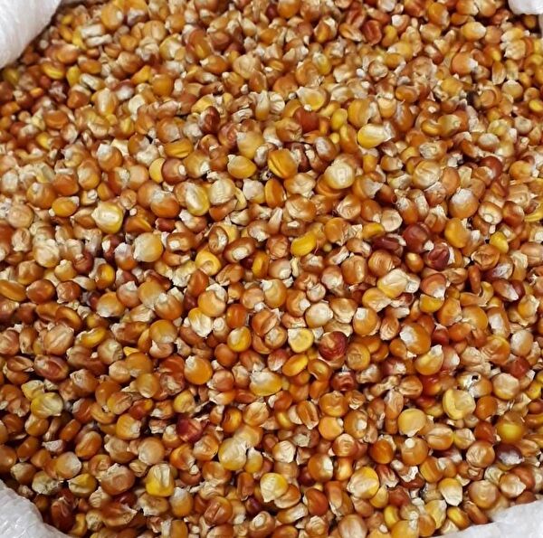 Karahasanoğlu Tarım Tohum