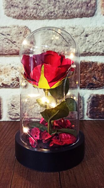 Star Global Dekoratif Obje, Biblo, Figür