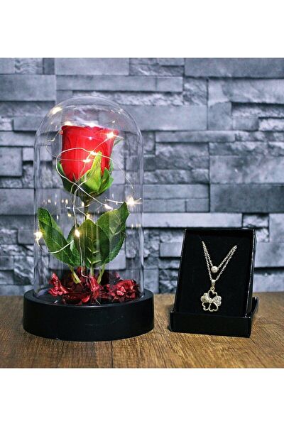 Star Global Dekoratif Obje, Biblo, Figür