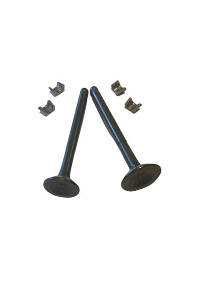 Arzu Monero Krank, Piston ve Contalar