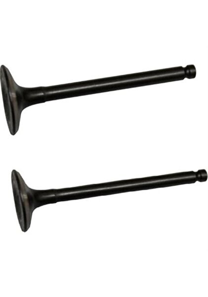 Arzu Monero Krank, Piston ve Contalar