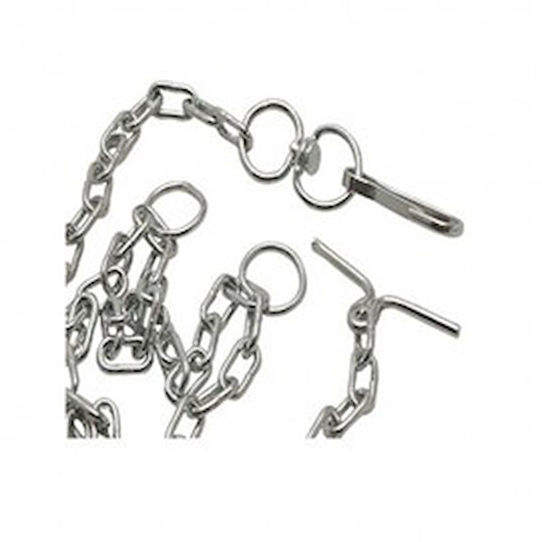 Leva House Köpek Tasmaları