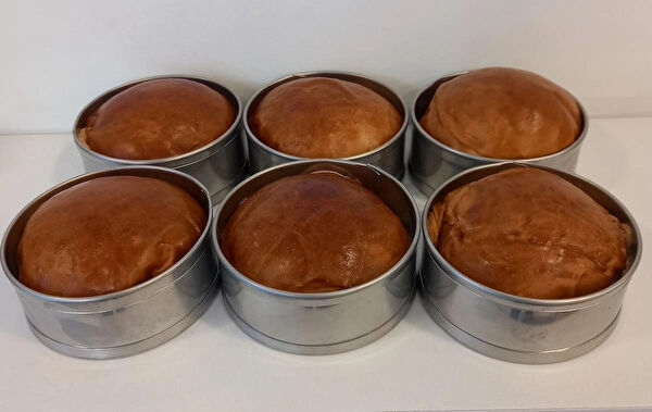 RENUZU Hamburger Yapma Aparatı