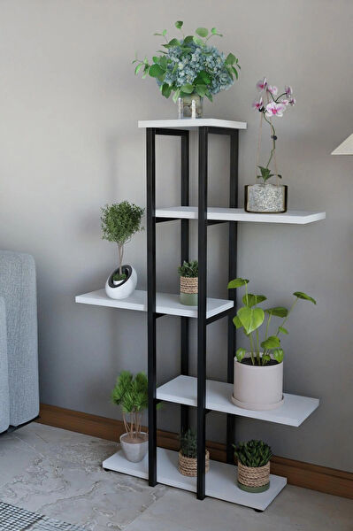 Steel Design Çok Amaçlı, Dekoratif Raf