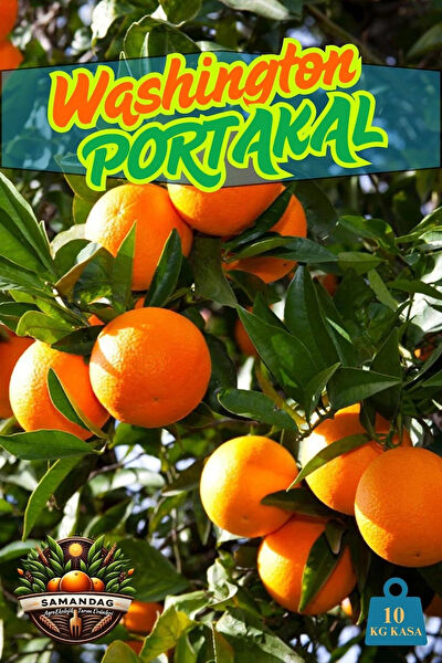 SamandağAgroekolojikTarım Çiftçi Kadın Ürünleri