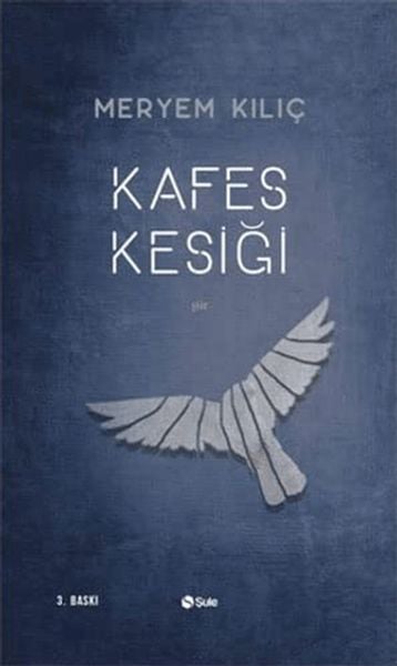 Şule Yayınları Dünya Edebiyatı Kitapları