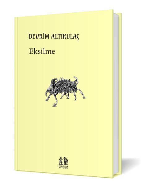 Pikaresk Yayınevi Dünya Edebiyatı Kitapları
