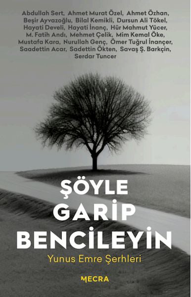 Mecra Kitap Dünya Edebiyatı Kitapları