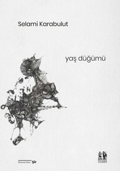 Pikaresk Yayınevi Dünya Edebiyatı Kitapları