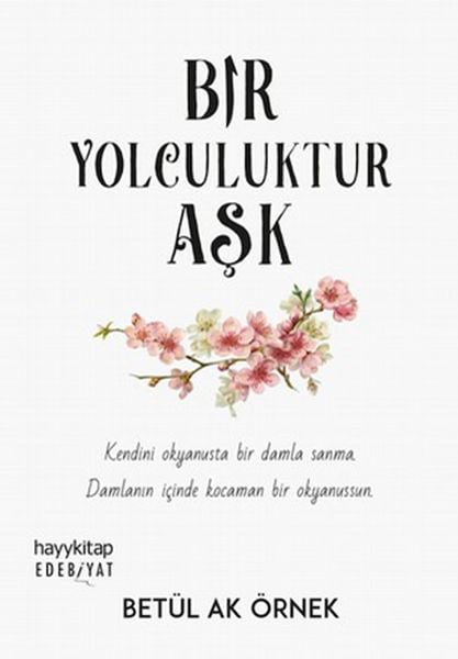 HAYY KİTAP Dünya Edebiyatı Kitapları