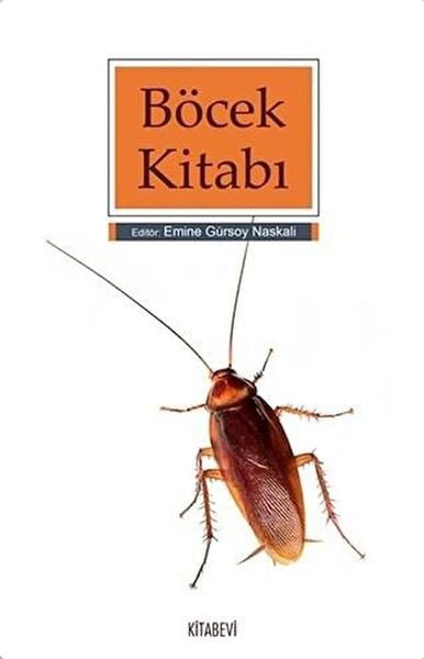 Kitabevi Yayınları Dünya Edebiyatı Kitapları