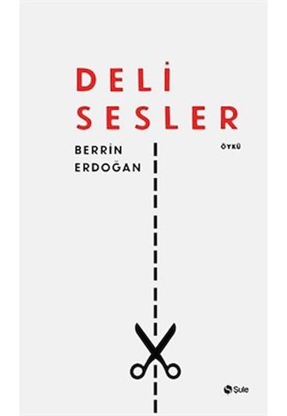 Şule Yayınları Dünya Edebiyatı Kitapları