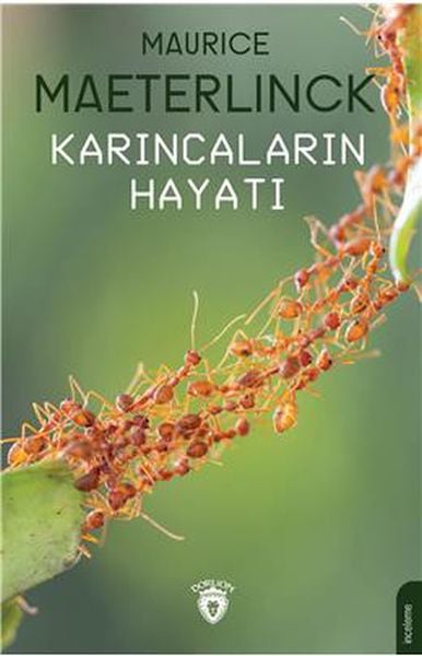 Dönem Yayıncılık Dünya Edebiyatı Kitapları