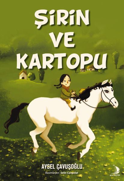 Destek Yayınları Dünya Edebiyatı Kitapları