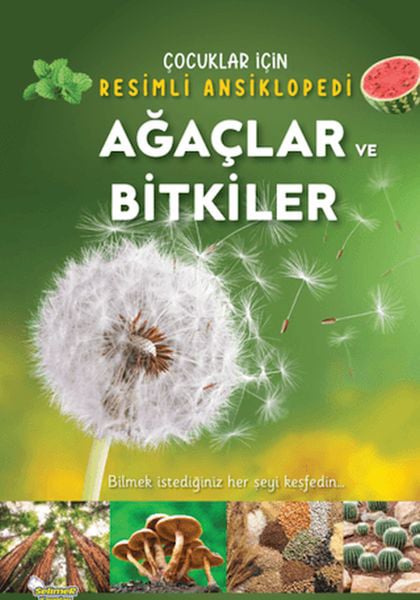 Selimer Yayınları Çocuk Öykü, Masal Kitapları