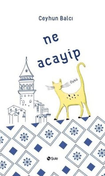 Şule Yayınları Dünya Edebiyatı Kitapları