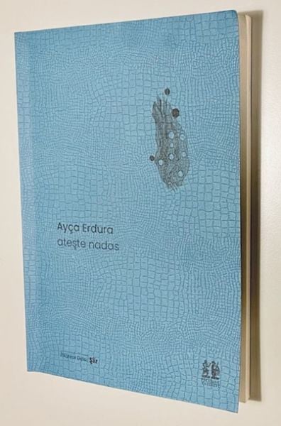 Pikaresk Yayınevi Dünya Edebiyatı Kitapları