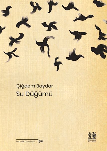 Pikaresk Yayınevi Dünya Edebiyatı Kitapları
