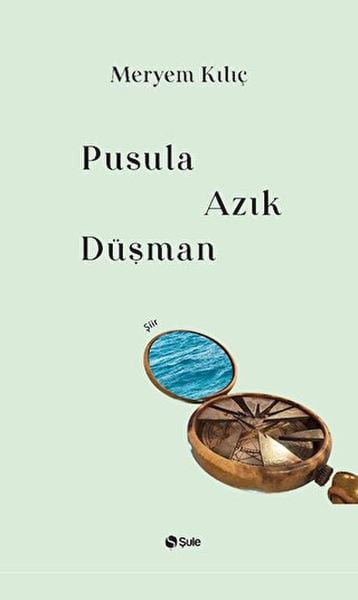 Şule Yayınları Dünya Edebiyatı Kitapları