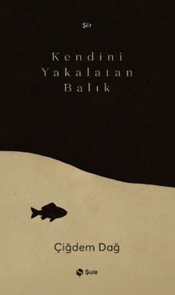 Şule Yayınları Dünya Edebiyatı Kitapları