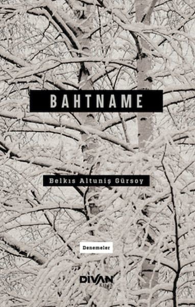 Divan Kitap Dünya Edebiyatı Kitapları