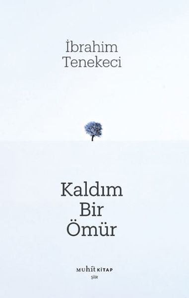 Muhit Kitap Dünya Edebiyatı Kitapları