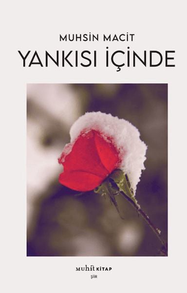 Muhit Kitap Dünya Edebiyatı Kitapları