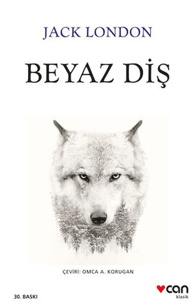 Can Sanat Yayınları Dünya Edebiyatı Kitapları
