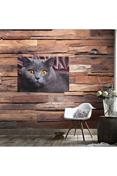 Durusoy Shop Centers Poster, Afiş