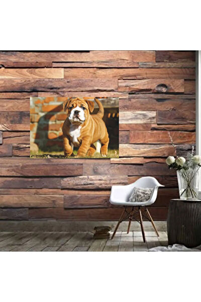 Durusoy Shop Centers Poster, Afiş