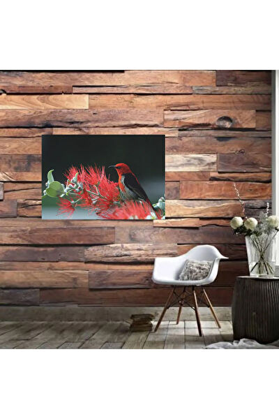 Durusoy Shop Centers Poster, Afiş