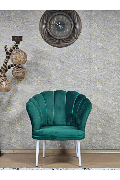 Zafir Berjer, TV Koltuk