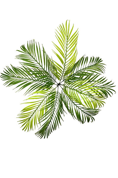 CİHAN ÇİÇEKÇİLİK Yapay Çiçek, Meyve