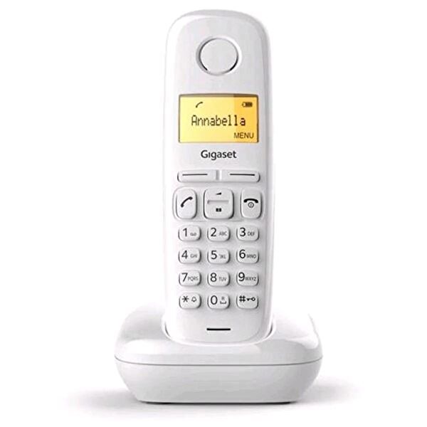 Gigaset Santral, Dect Telefonlar
