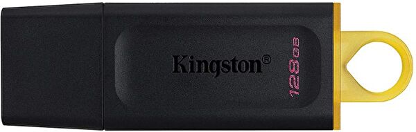 Kingston USB Flash Bellekler