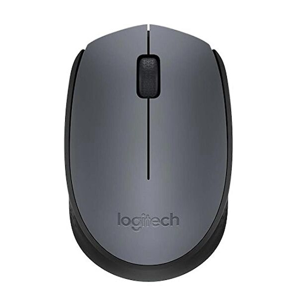 Logitech Mouse