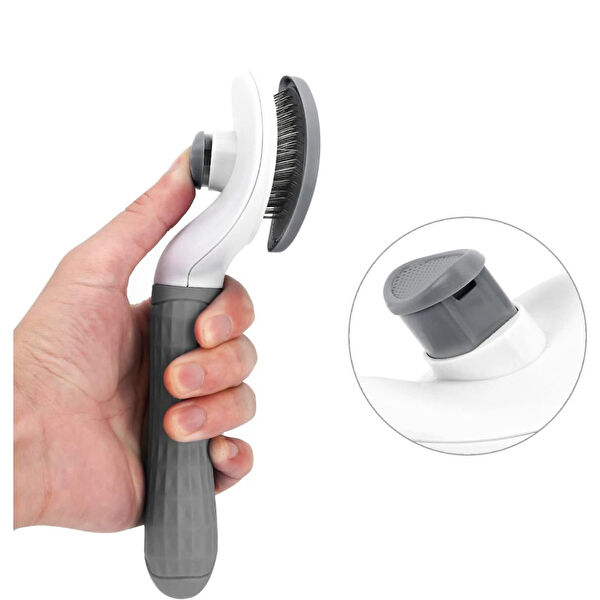 Skygo Kedi Tasmaları ve İsimlikler