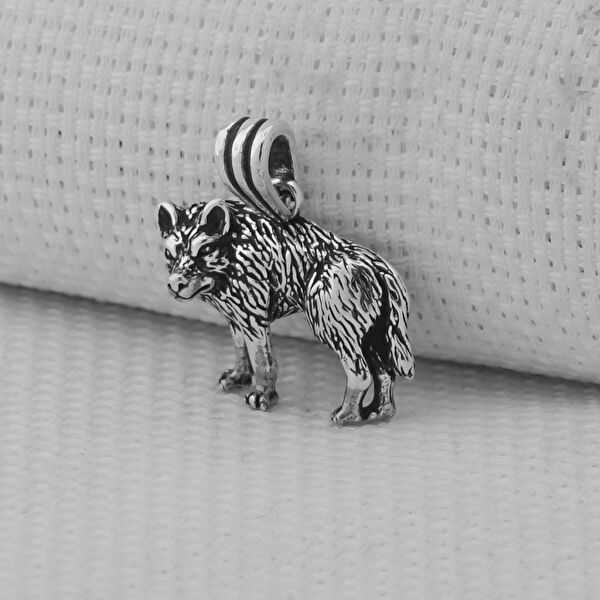 Takıhan Kolye, Zincir, Künye