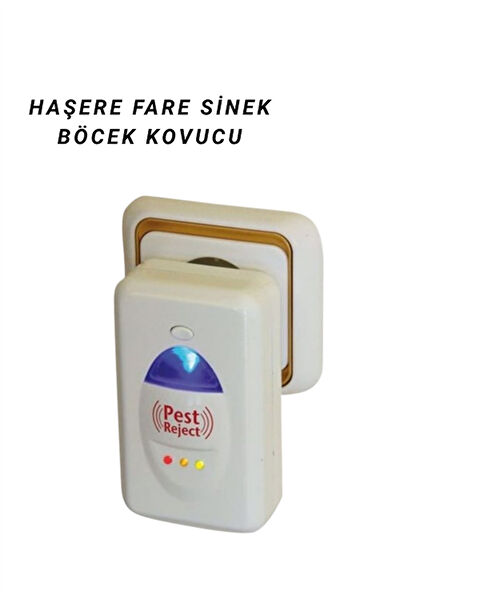Kafkas Store Sinek Kovucu Ampul