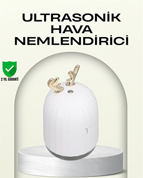 Kafkas Store Hava Temizleme ve Nem Alma Cihazları