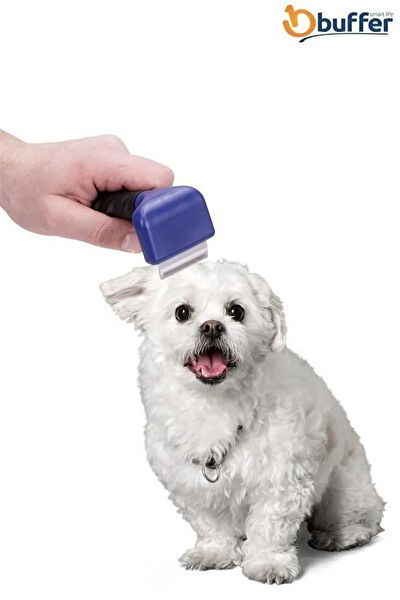 Genel Markalar Köpek Tarak, Fırça, Makas