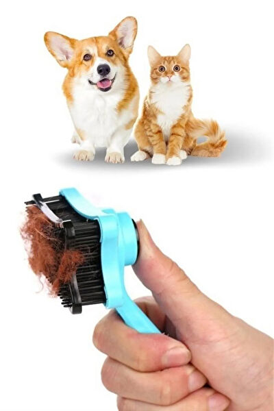 Genel Markalar Köpek Tarak, Fırça, Makas