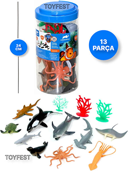 TOYFEST Eğitici Oyuncaklar