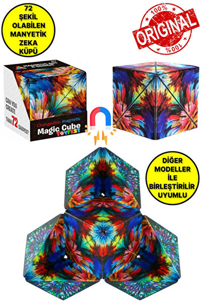 TOYFEST Zeka Oyunları